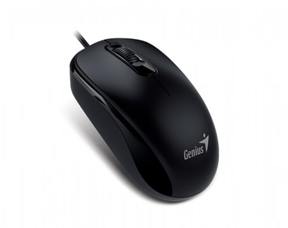 Chuột Genius USB DX110