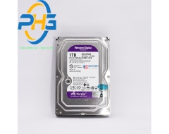 Ổ cứng tím chuyên dụng western 1TB