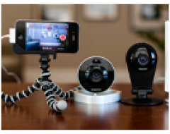 BIỆN PHÁP QUẢN LÝ CỎ DẠI HIỆU QUẢ